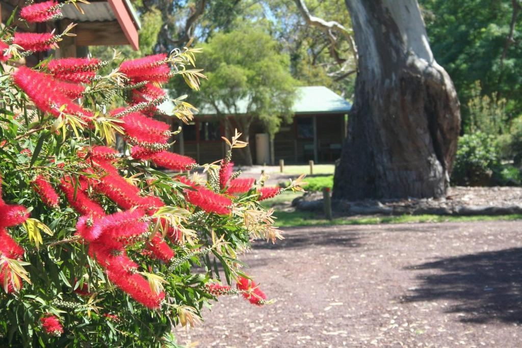 Southern Grampians Cottages Dunkeld Εξωτερικό φωτογραφία