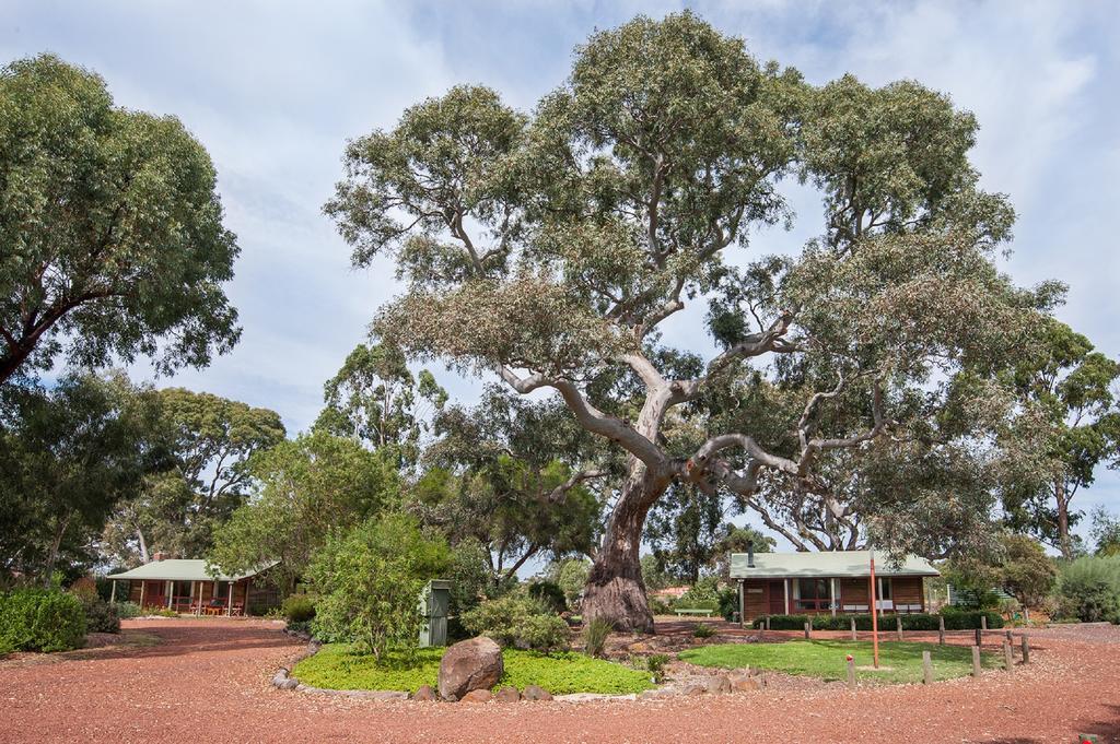 Southern Grampians Cottages Dunkeld Εξωτερικό φωτογραφία