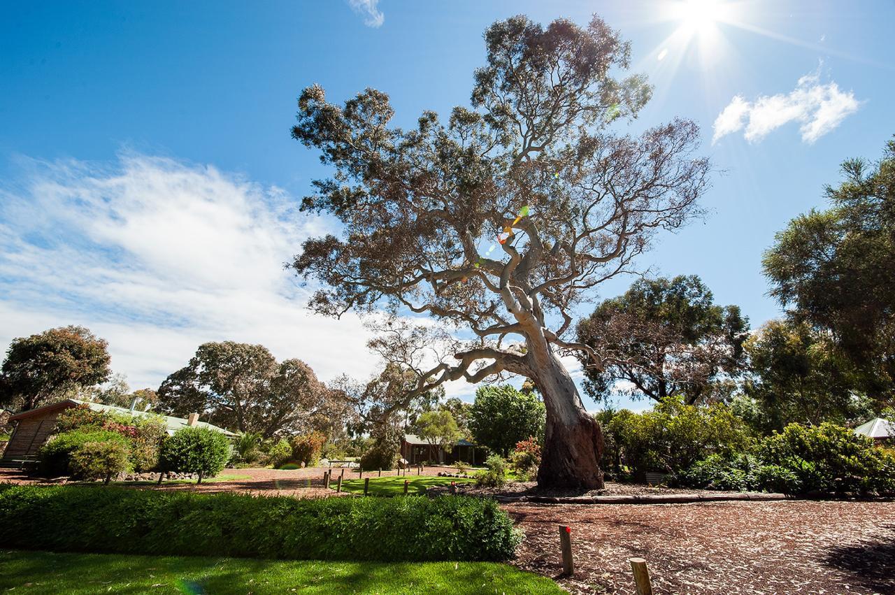 Southern Grampians Cottages Dunkeld Εξωτερικό φωτογραφία